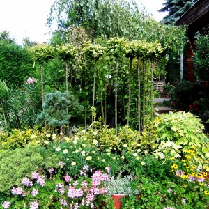 Kertészet bejárat