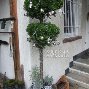 2015kari_aranystardustezust