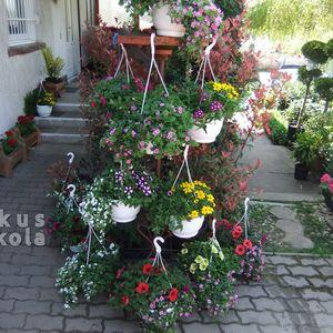 Ampolnamix_16_10