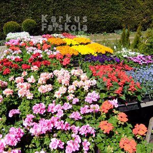 Asztal150410
