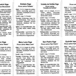 fuge_2023tavasz_h