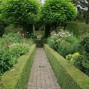 Gombcatalpa_jardamelle