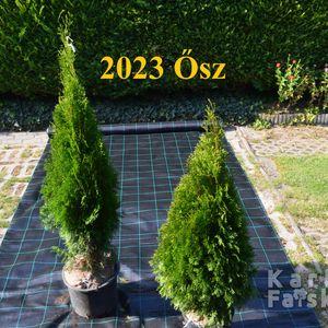 Smaragd_2fele_2023ősz